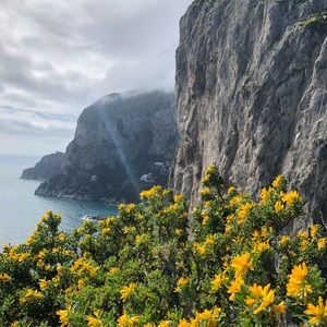 Meet your Posher, Ann